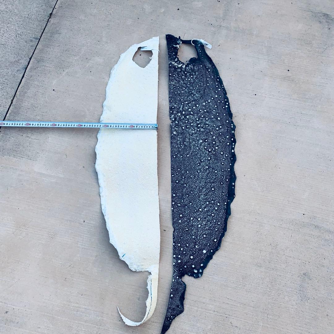 24) イバラエイ スター カイラギ エイ革 stingray ガルーシャ