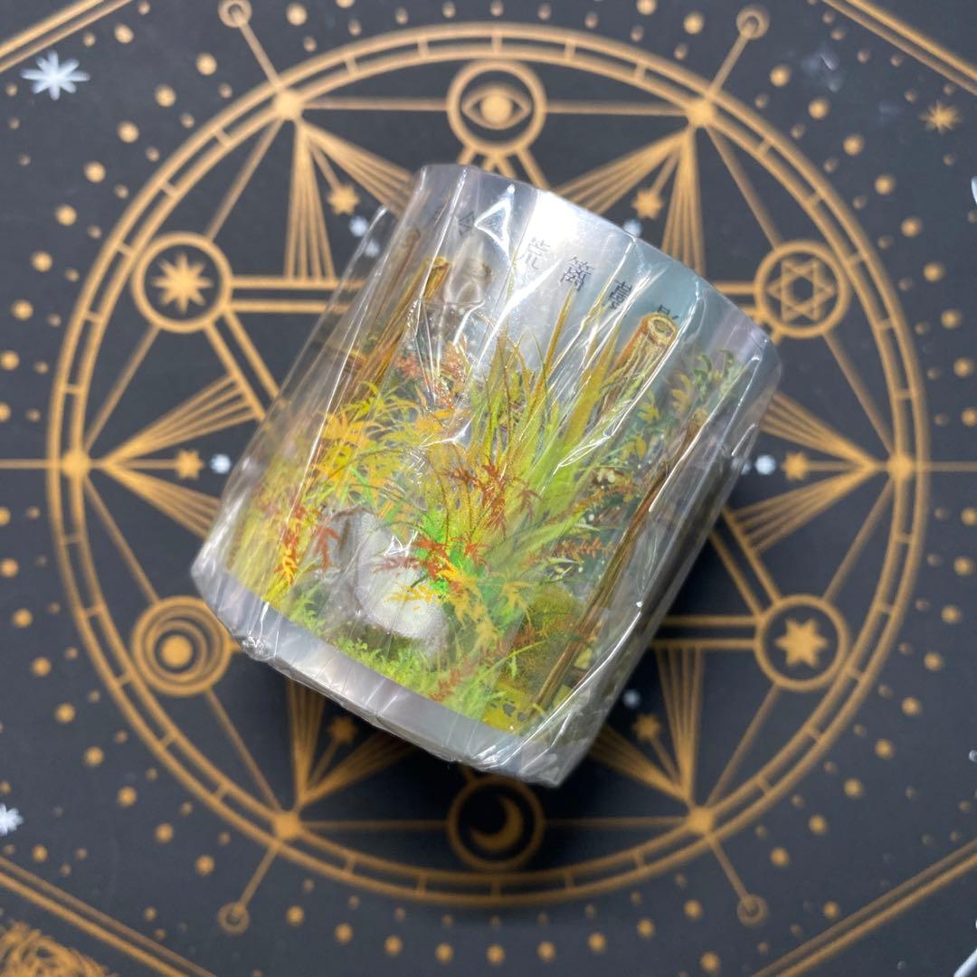 【9127】海外　マステ　5m巻　PETマスキングテープ　垣根　装飾系