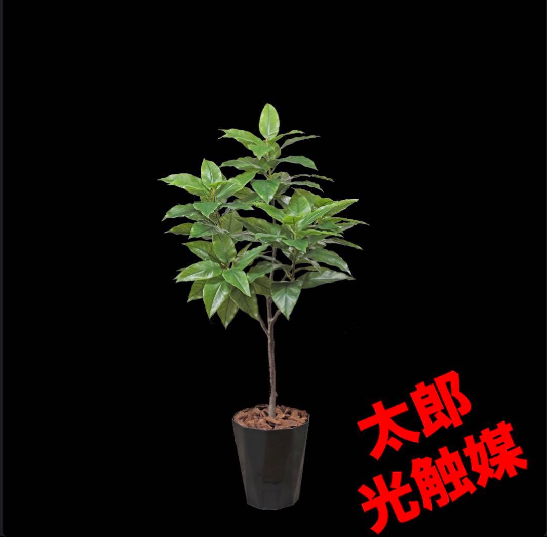 光触媒　人工観葉植物　ウォールグリーン　ウォールグリーン　フィカスフイロリス