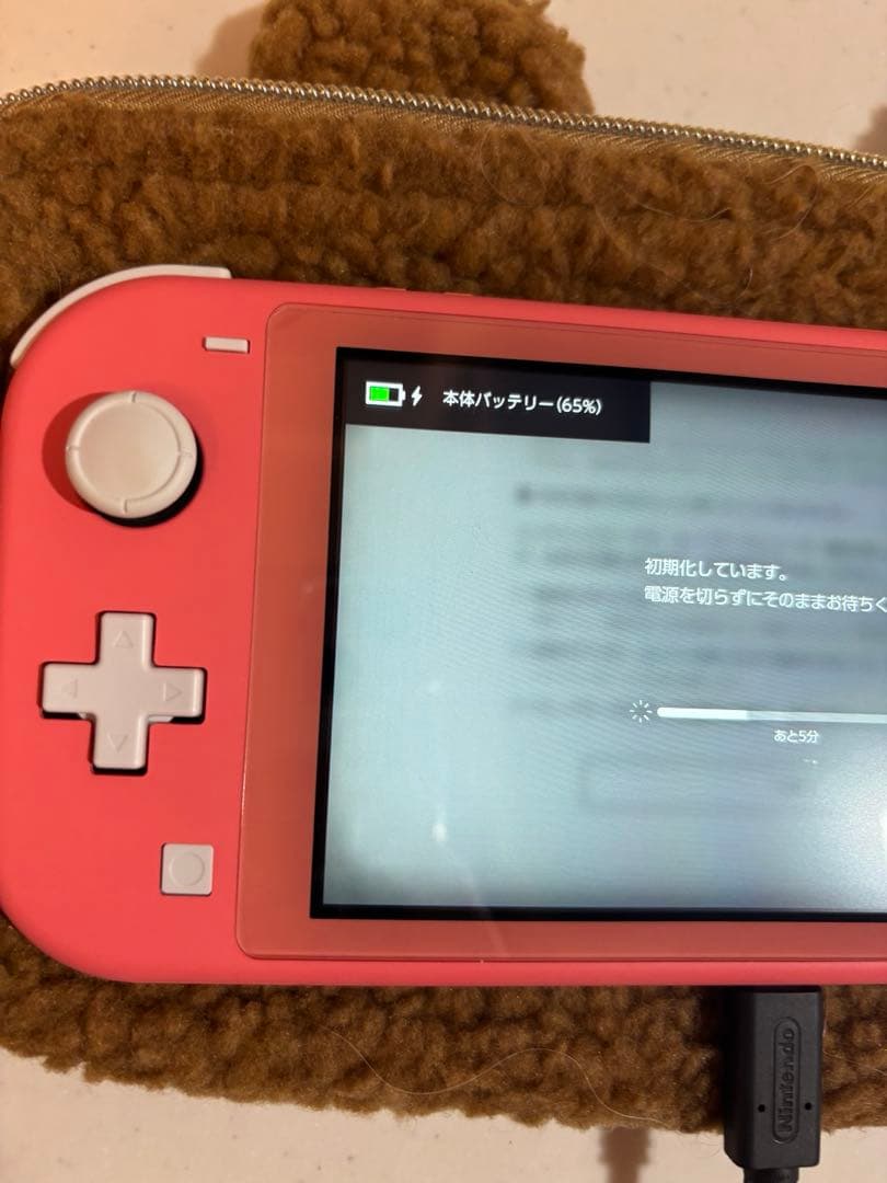 ⭐︎美品⭐︎ Nintendo Switch Lite 本体　コーラルピンク