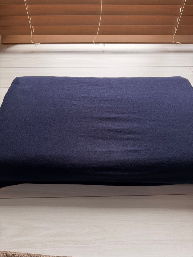 【早い者勝ち】ブレインスリープピロー　スタンダードサイズ　カバー付60x35cm