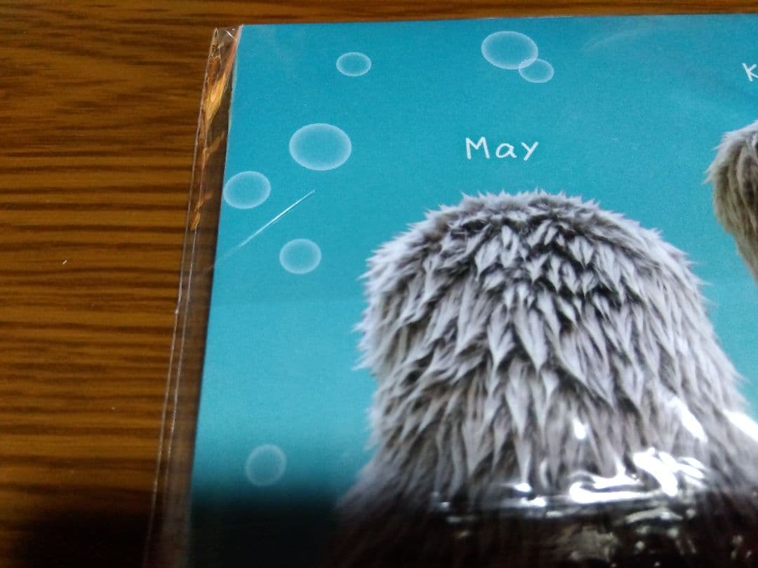 ラッコのメイとキラ　鳥羽水族館オリジナル写真集