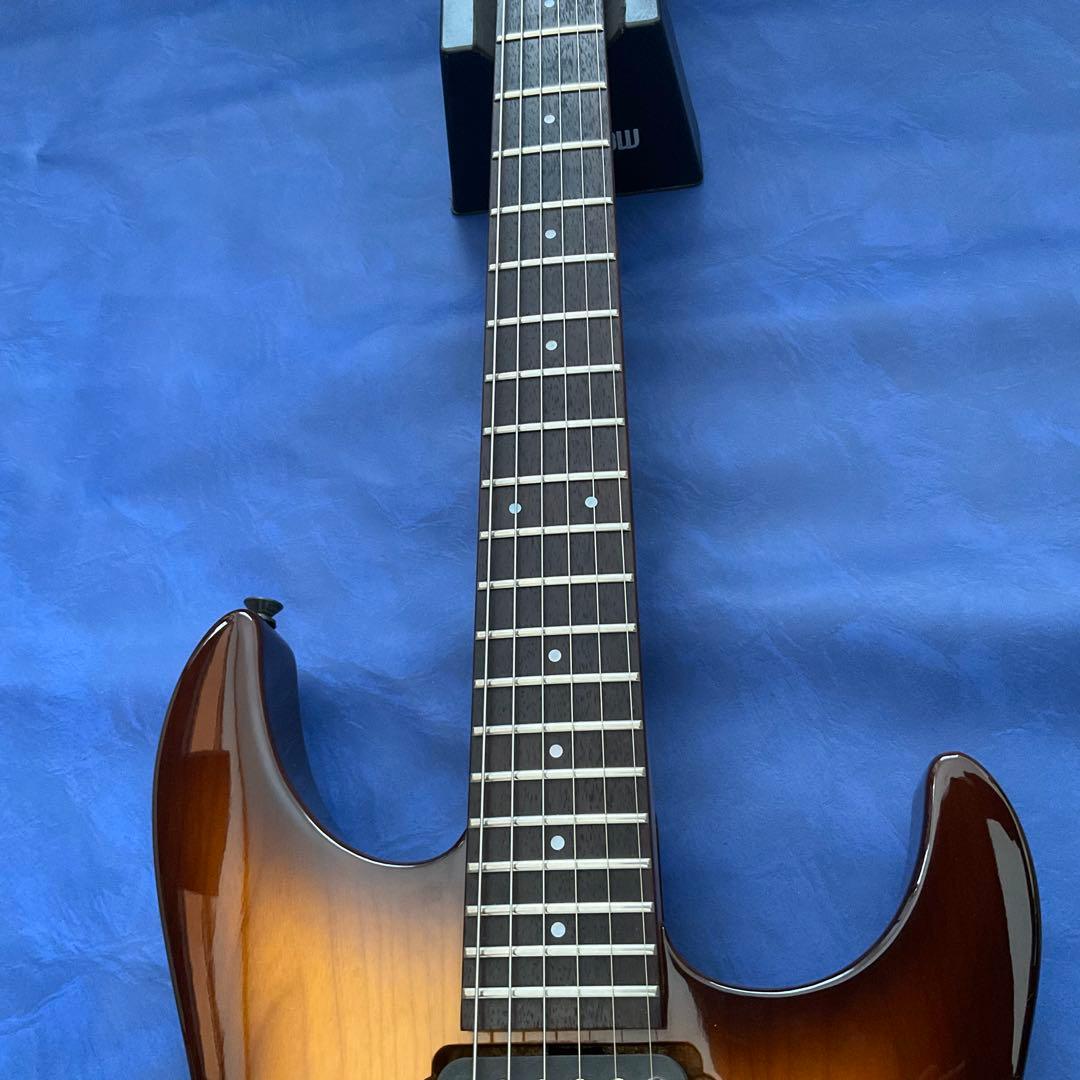 【玄人向け】Fernandes FR ブラウンバースト【特殊トレモロ】