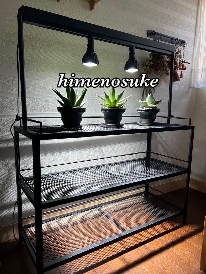 ☆送料込み☆アイアン植物棚　即購入OK ライトレール付　ボタニカル　アガベ