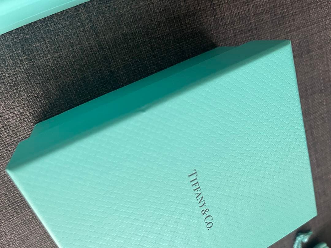 Tiffany & Co. アクセサリーケース 2点セット