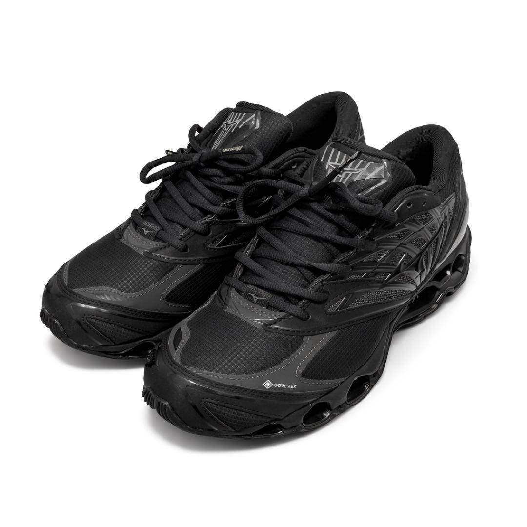 靴 MIZUNO / MIZUNO WAVE PROPHECY LS GTX