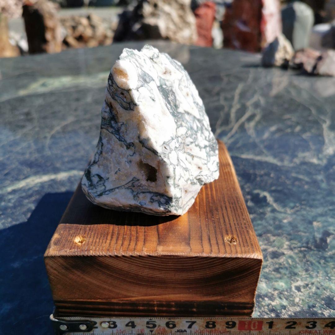 ツリーアゲート　738グラム　鑑賞石　原石　宝石　鉱物　パワーストーン　石