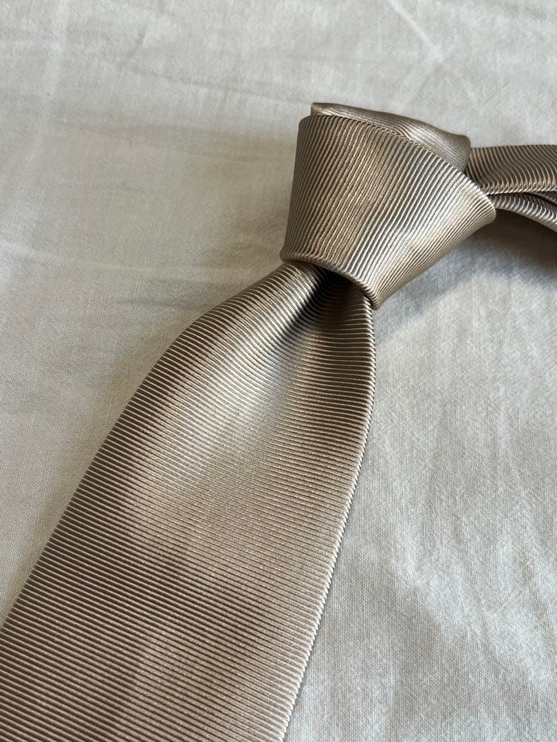 【サーモス様】LUIGI BORRELLI ソリッドネクタイ 2本