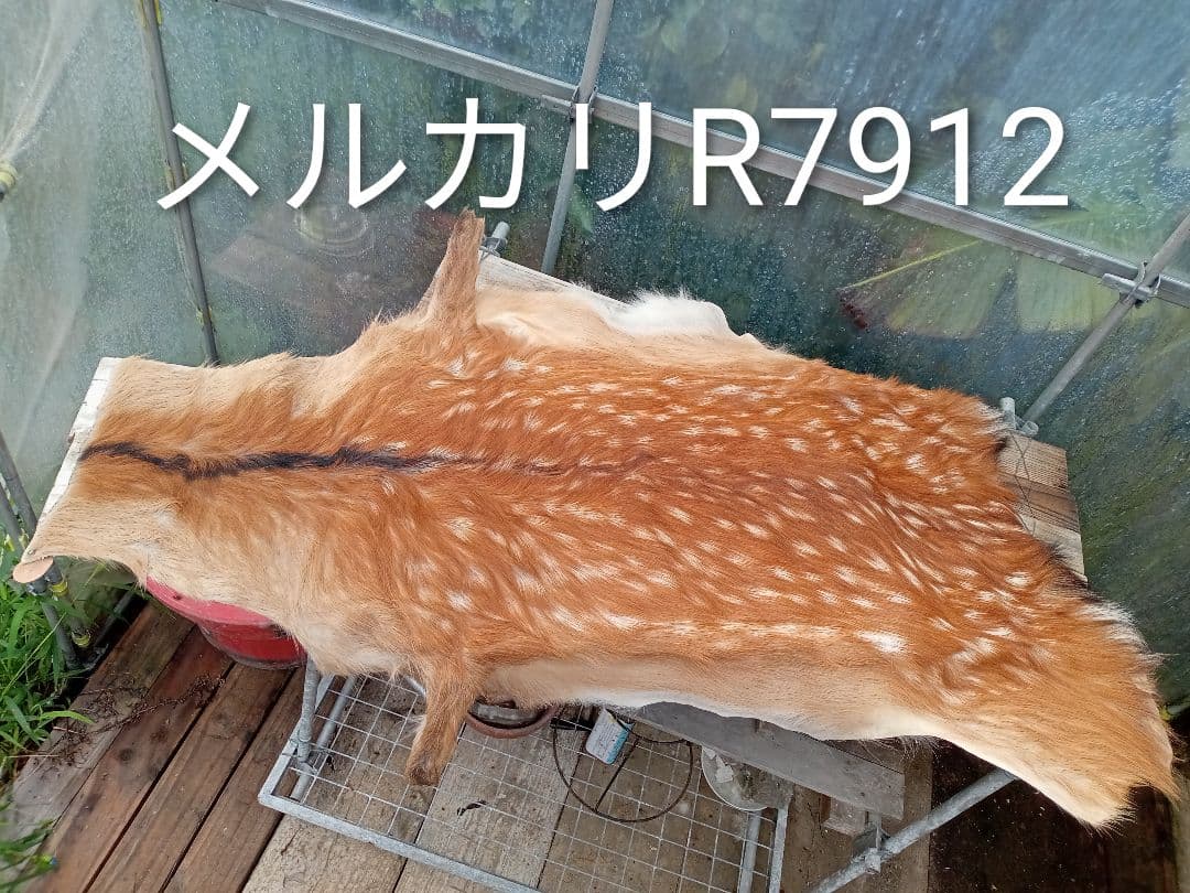 天然日本鹿　夏毛　袖付きラグ