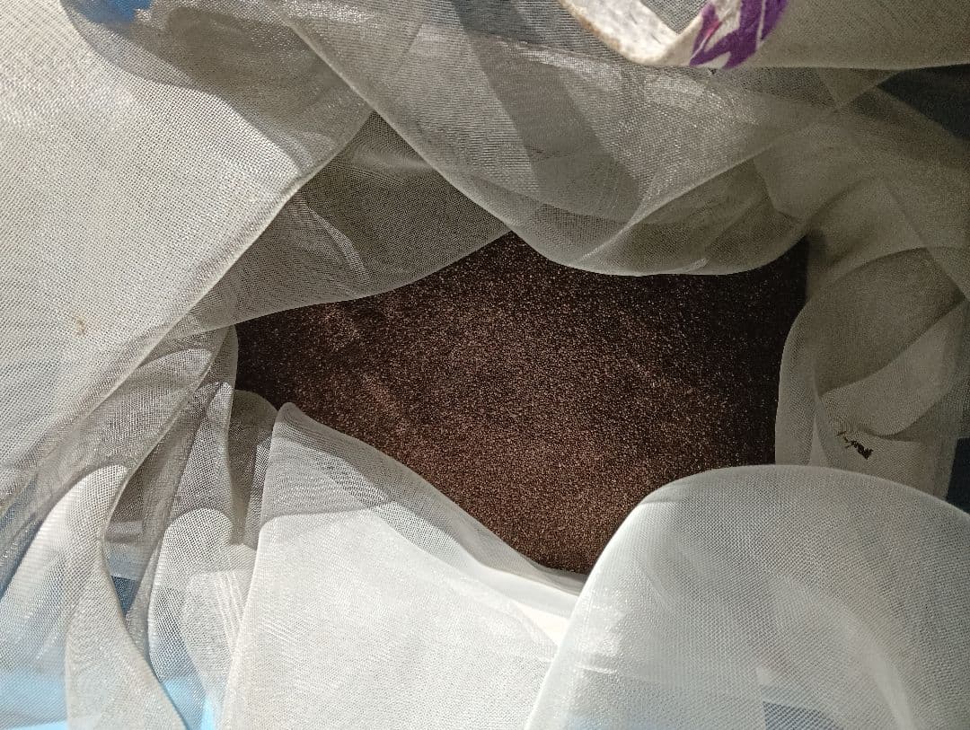 エゴマの実5キロ