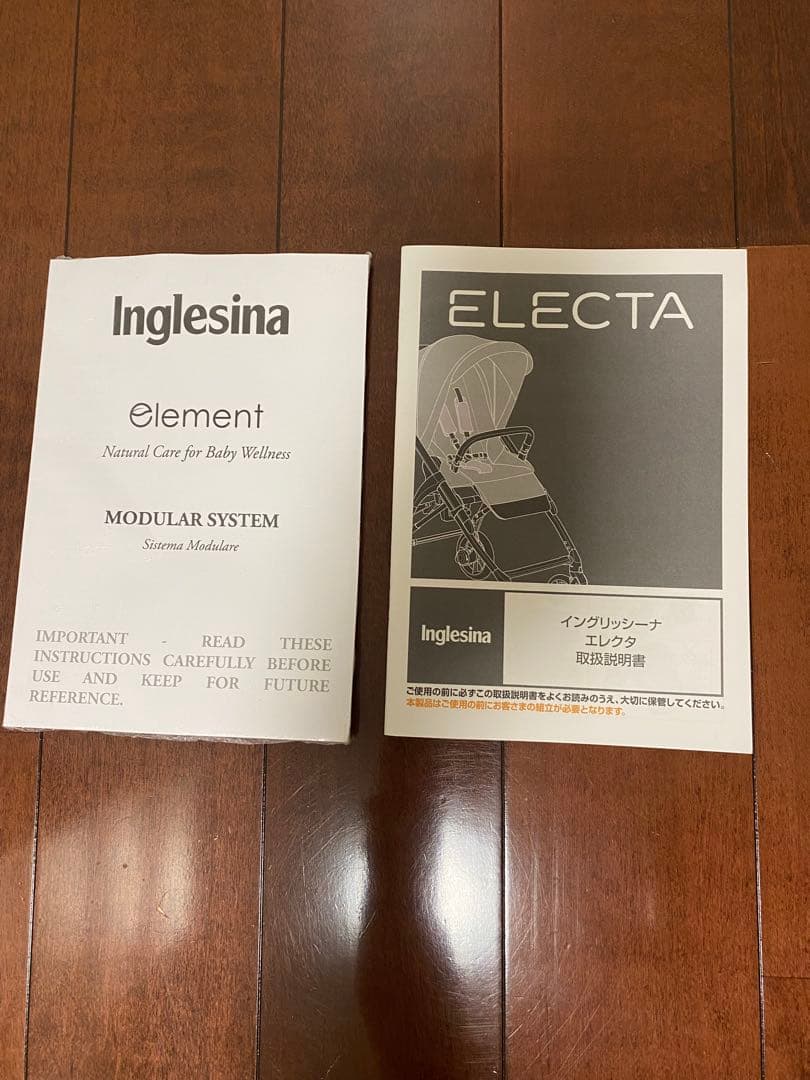 イングリッシーナエレクタ