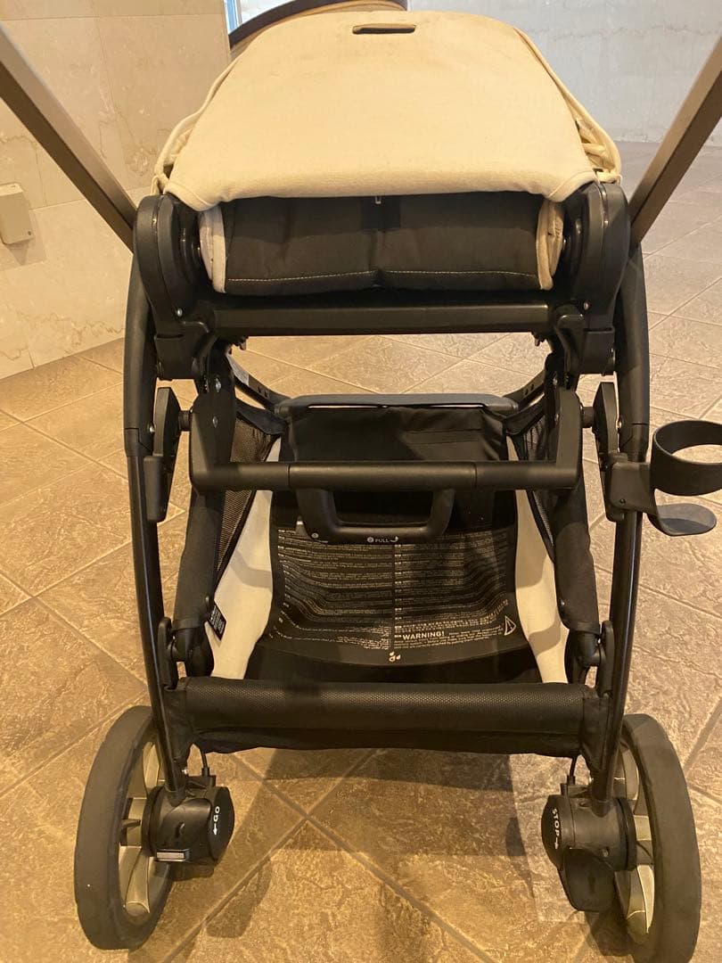 イングリッシーナエレクタ