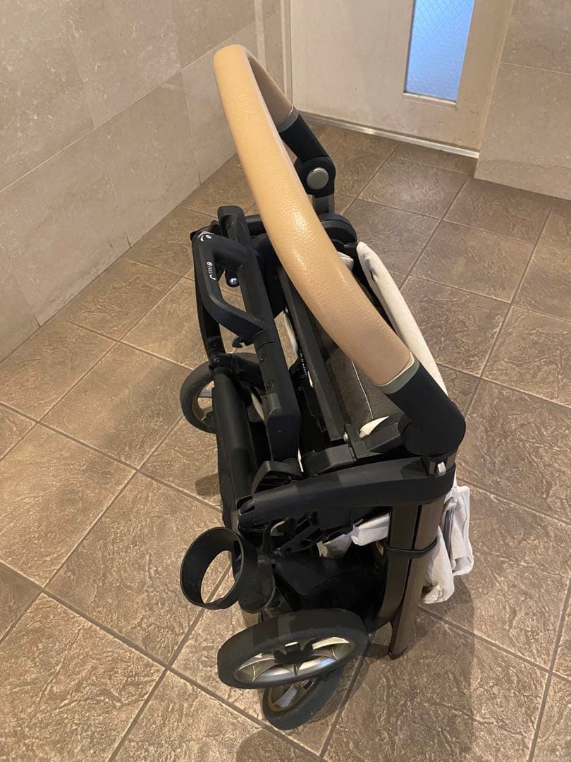 イングリッシーナエレクタ