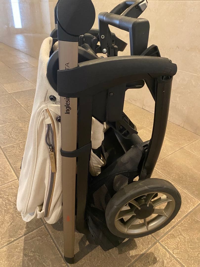 イングリッシーナエレクタ