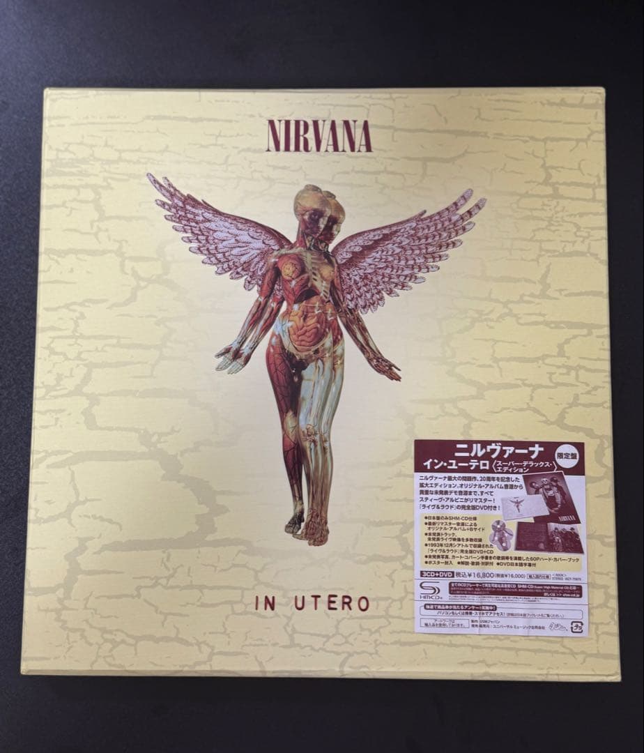 名盤NIRVANA IN UTERO 20周年記念3CD+1DVD国内盤