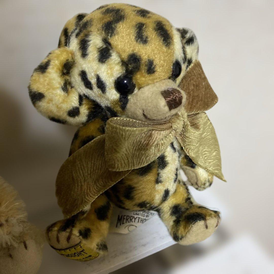 メリーソート　チーキー　レオパードなふたり