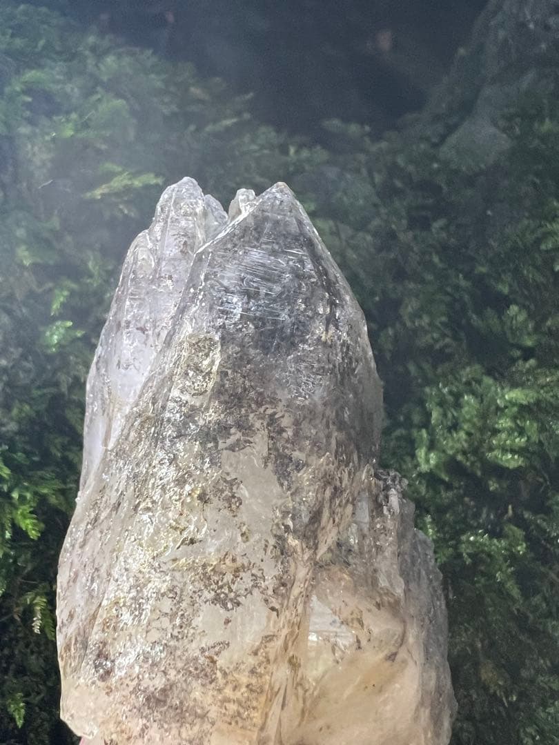 龍脈の精髄 ― ガーデンクォーツ & カテドラル（売上の一部は保護猫活動に使用）