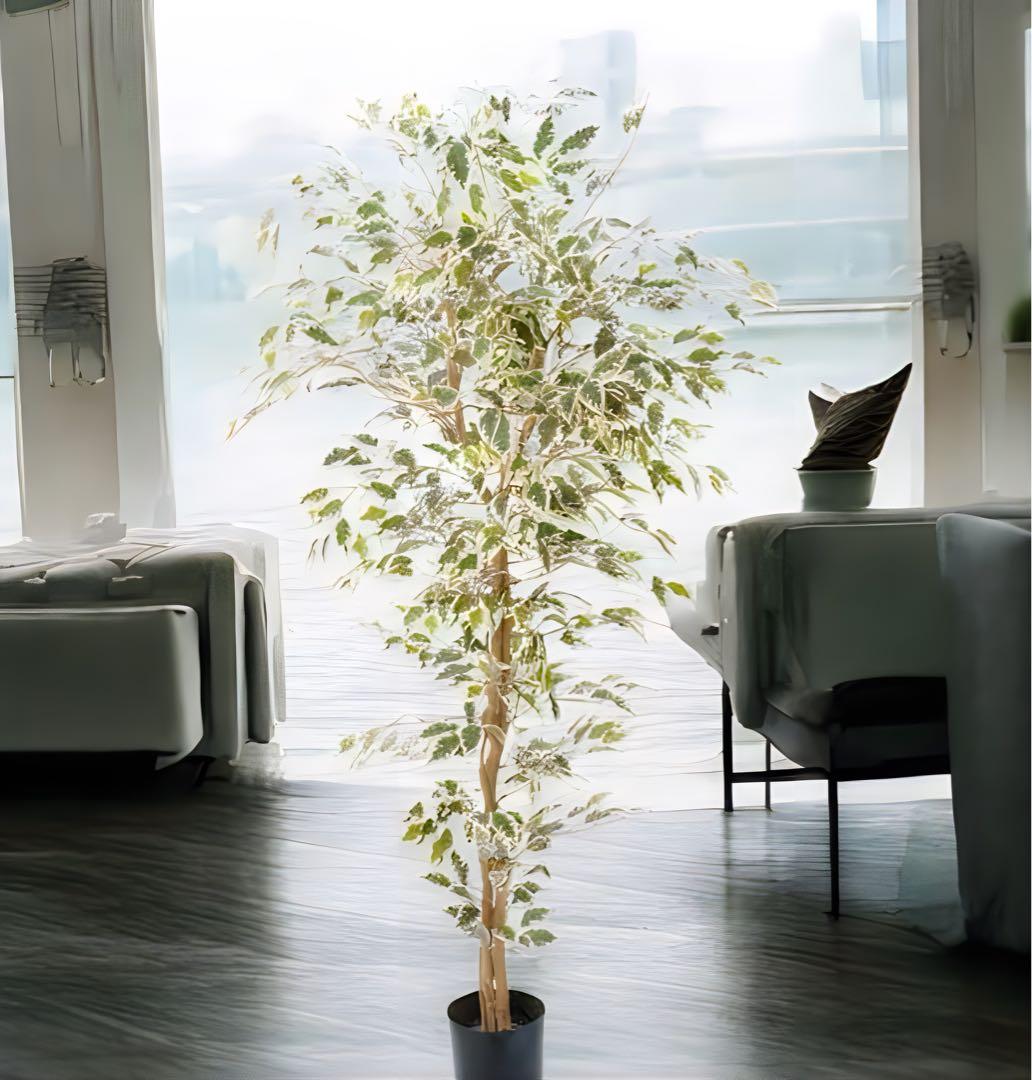 光触媒　人工観葉植物　ウォールグリーン　フェイクグリーン　ベンジャミンフィカスA