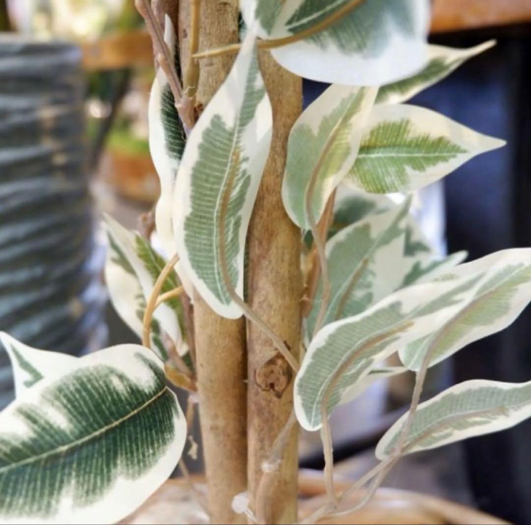 光触媒　人工観葉植物　ウォールグリーン　フェイクグリーン　ベンジャミンフィカスA