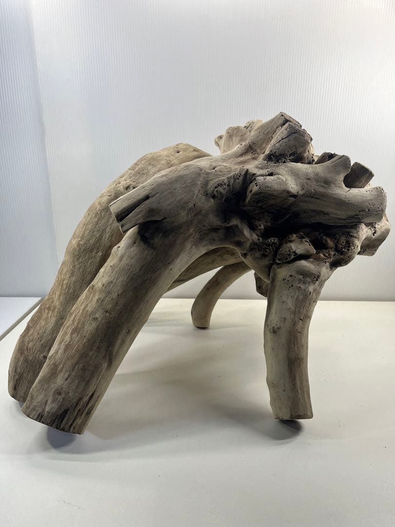 V64大型流木 アク抜き済み流木 爬虫類シェルター 登り木 インテリア 生け花