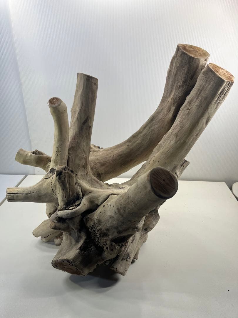 V64大型流木 アク抜き済み流木 爬虫類シェルター 登り木 インテリア 生け花