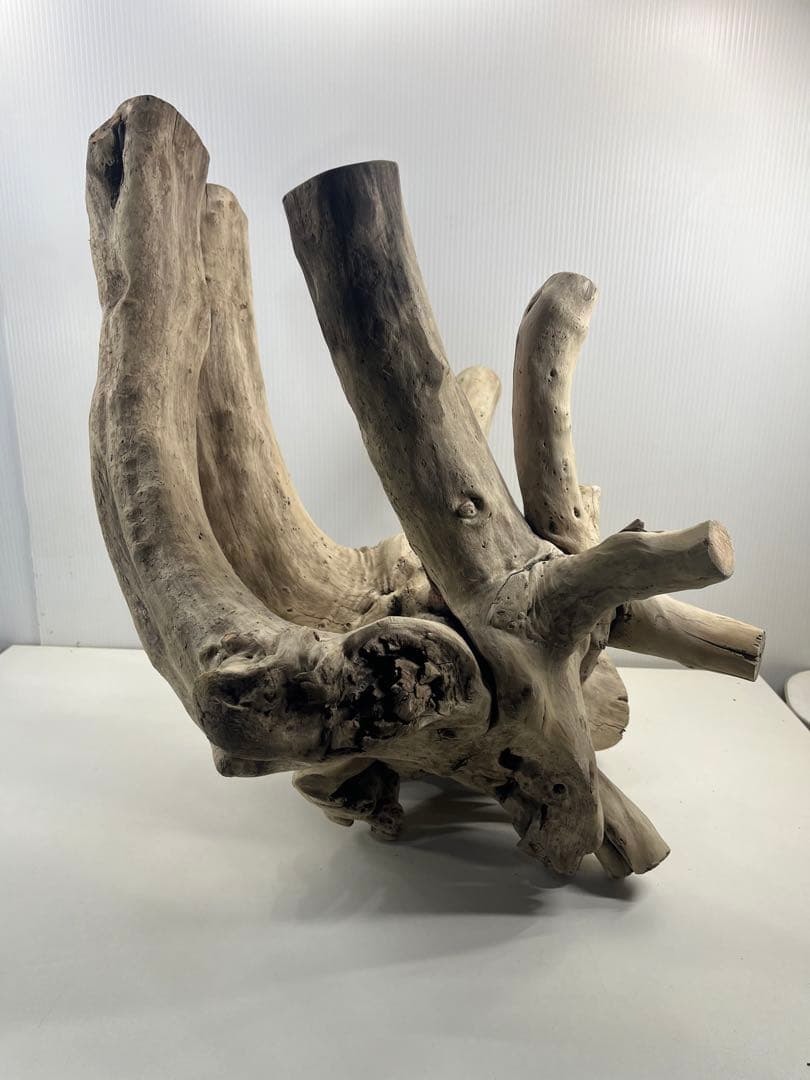 V64大型流木 アク抜き済み流木 爬虫類シェルター 登り木 インテリア 生け花