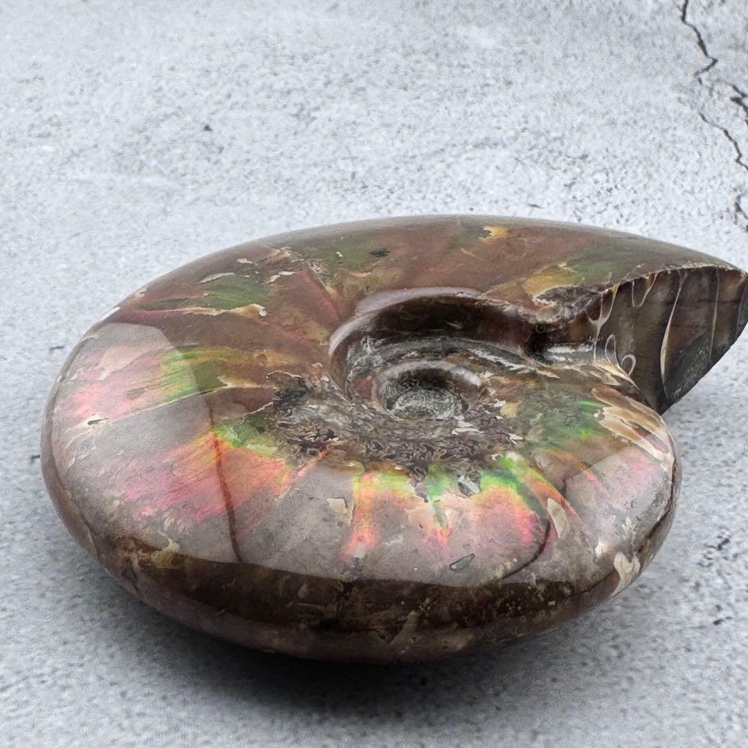 G-77天然アンモナイト原石　游色多色アンモナイト化石 天然石　コレクション標本