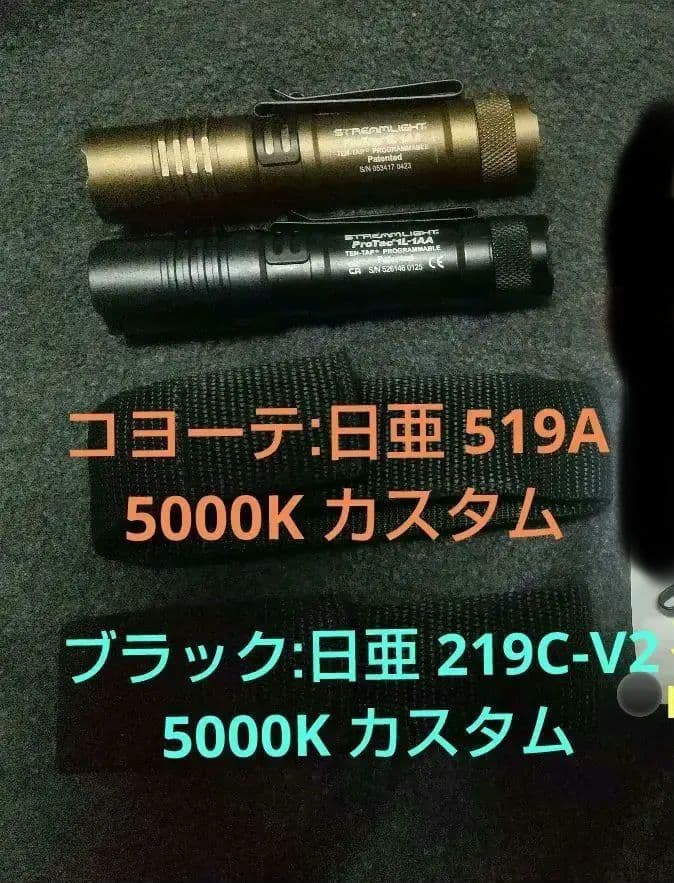 protac 519a 219c-V2 カスタム 2本