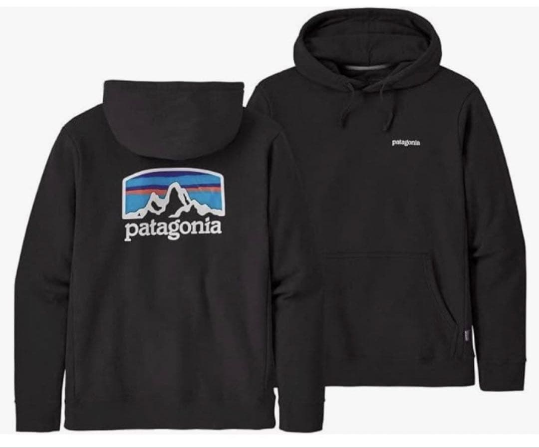 カ*兄様 パタゴニア Patagonia スウェットトレーナー 2XL ビッグサ