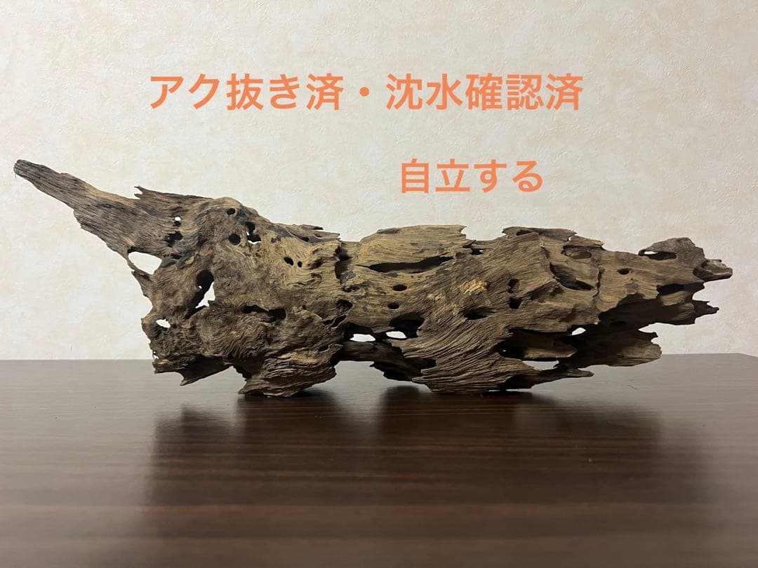 XM-456 流木　マシンガンウッド　アクアリウム　ブランチウッド　沈水確認済