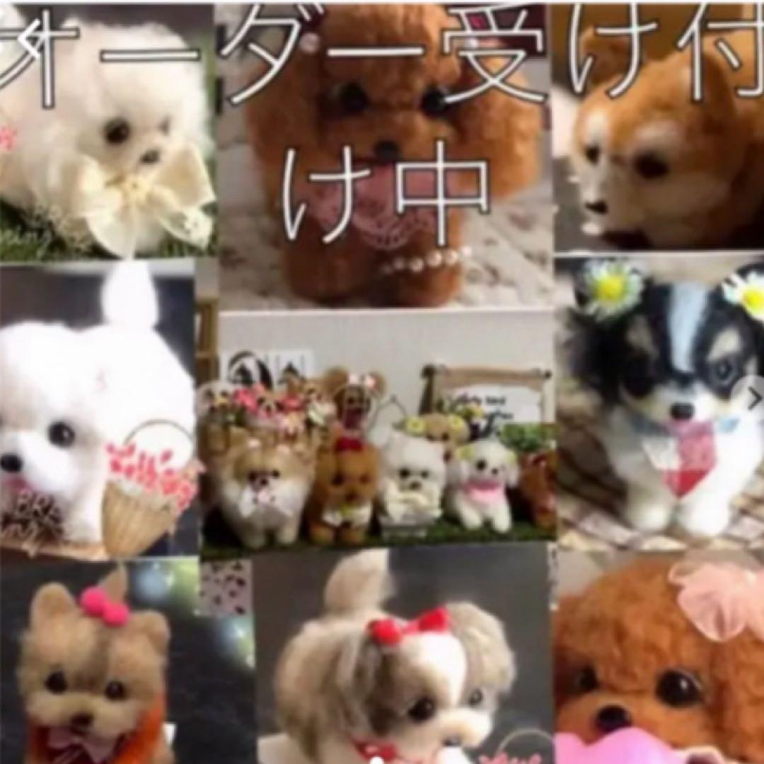 羊毛フェルト 犬　オーダー募集中