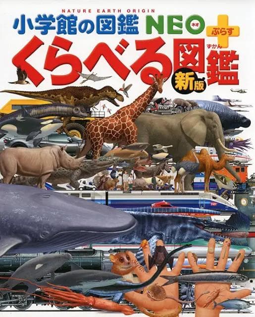 【Kai Thirada】図鑑セット①