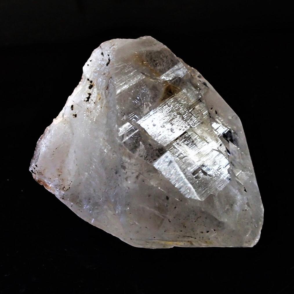 値下しました！ティップリン産ポイント-110-1