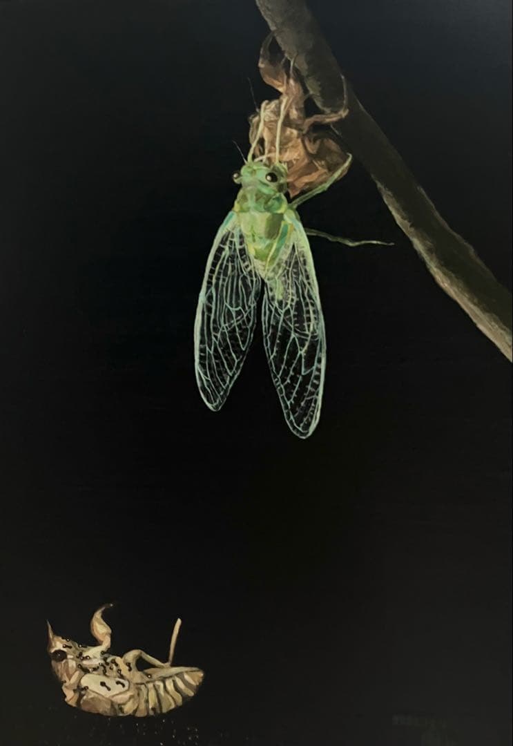 絵　絵画　アート　一点物　原画　インテリア　インテリアアート　蝉　羽化　神秘