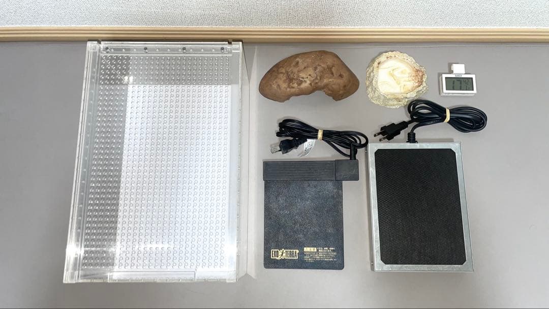 【ぴっぴ】レオパ飼育セット/終生飼育可能