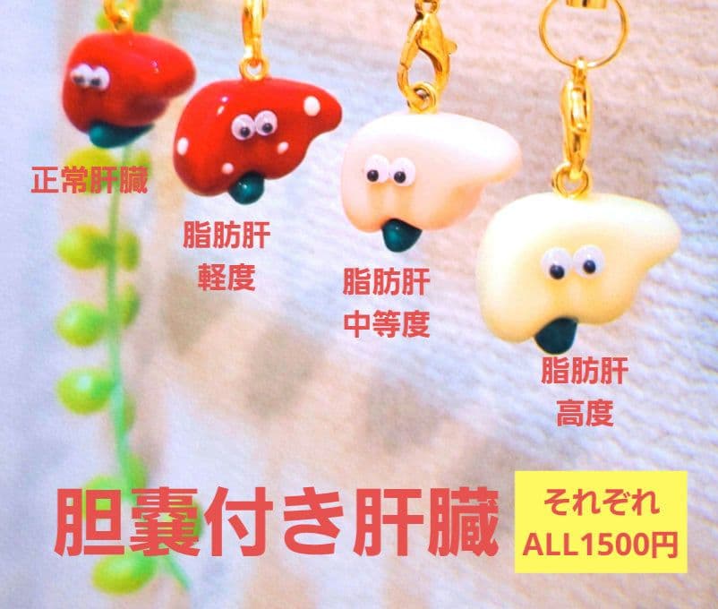 肝臓　臓器　手作り　キーホルダー　看護