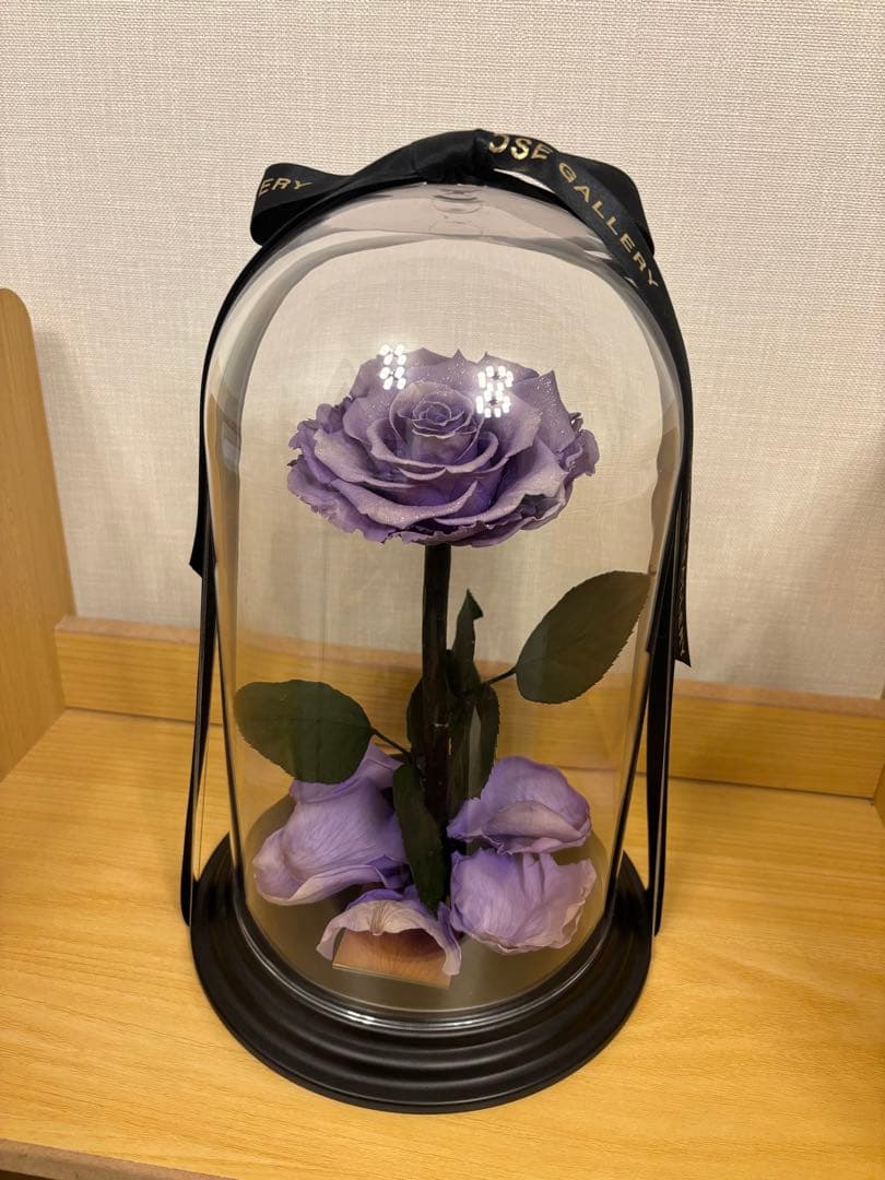 ローズギャラリー　バラ　紫