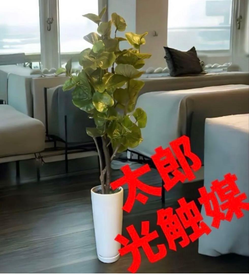 光触媒　人工観葉植物　ウォールグリーン　フェイクグリーン　スリムシーグレープ11