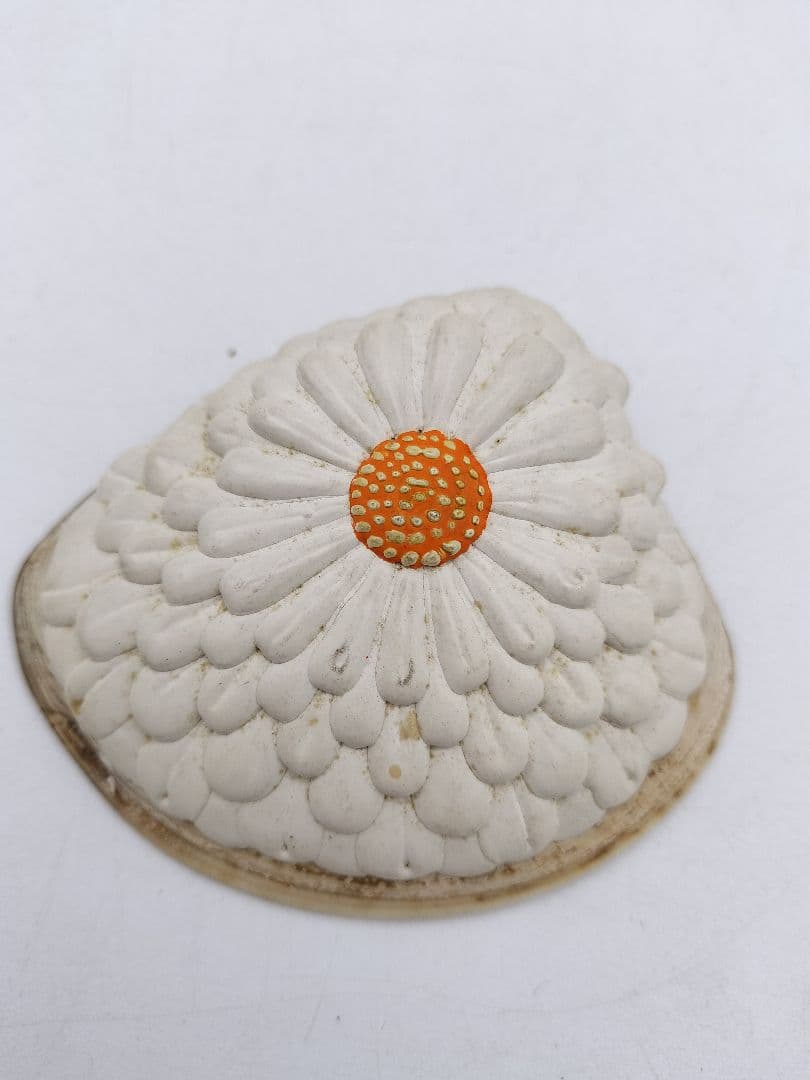 c453 貝香合 置上蛤 有職　島津豊泉 木箱 茶道具 古物