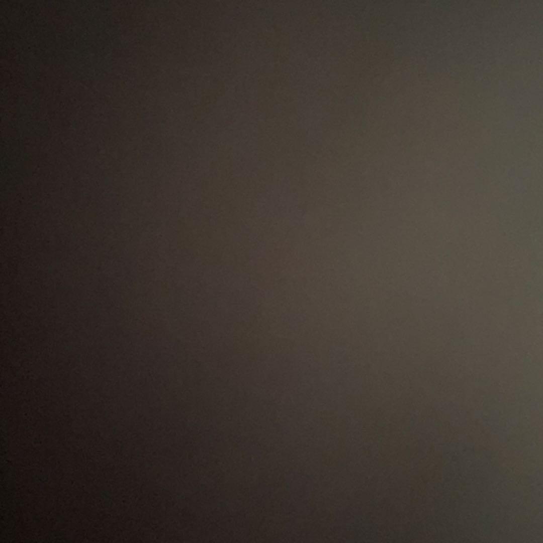 MeX1C4Nさん専用 インナーカウル1式、スピーカー2発