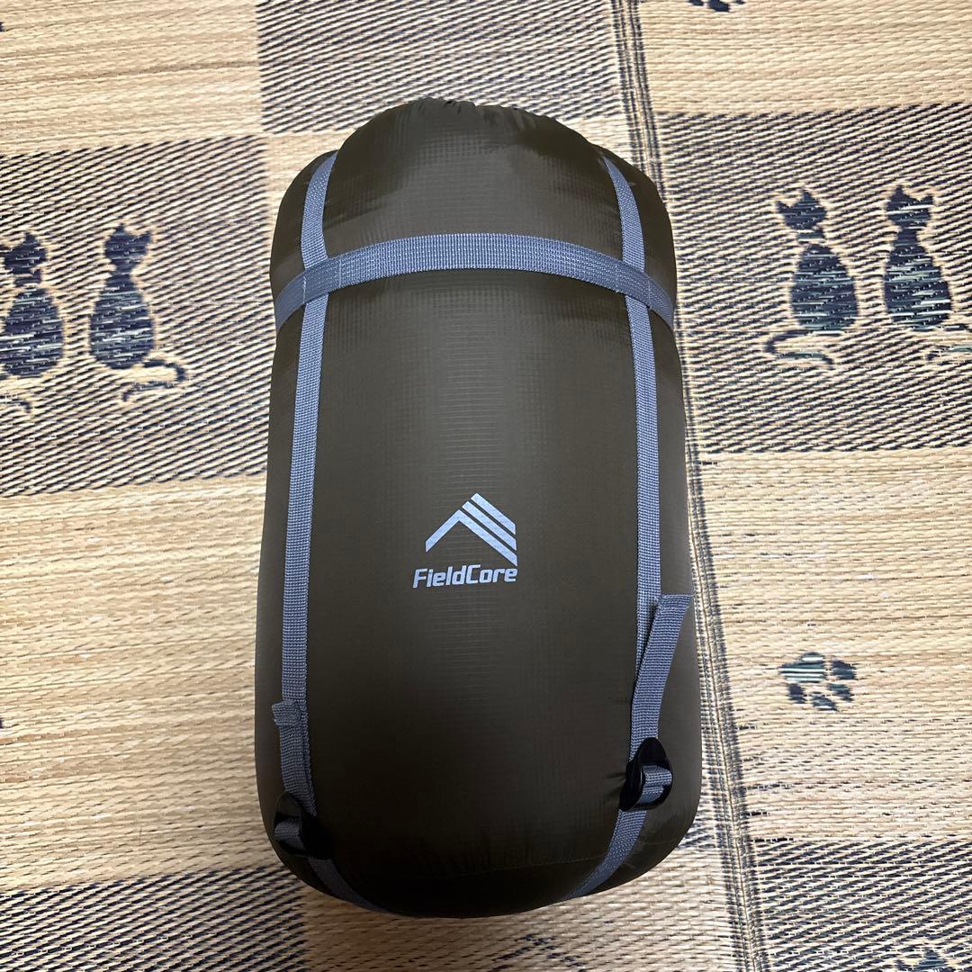 ワークマン エクストリームダウンシュラフ 1290 FCS11 寝袋