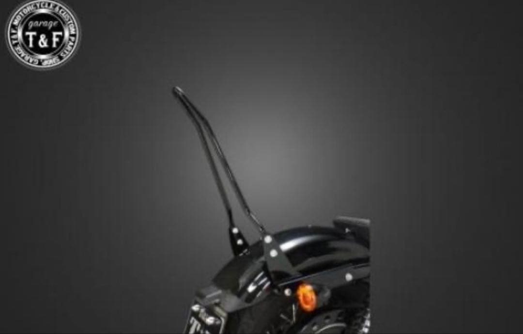 T&F ブラック バイクパーツ 取り付け金具付き