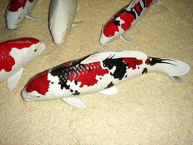 有田焼 錦鯉 置物 昭和 大正３色 勝山 陶器 ニシキゴイ 鯉 祝 コイ 縁起物