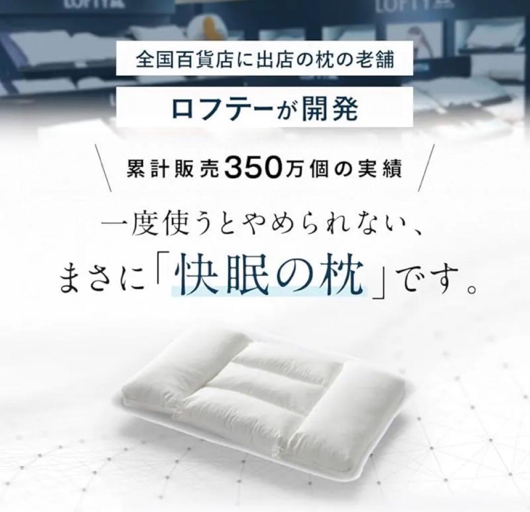 LOFTYロフテー 快眠枕 LT-050（低反発炭パイプ）1号 27,500円