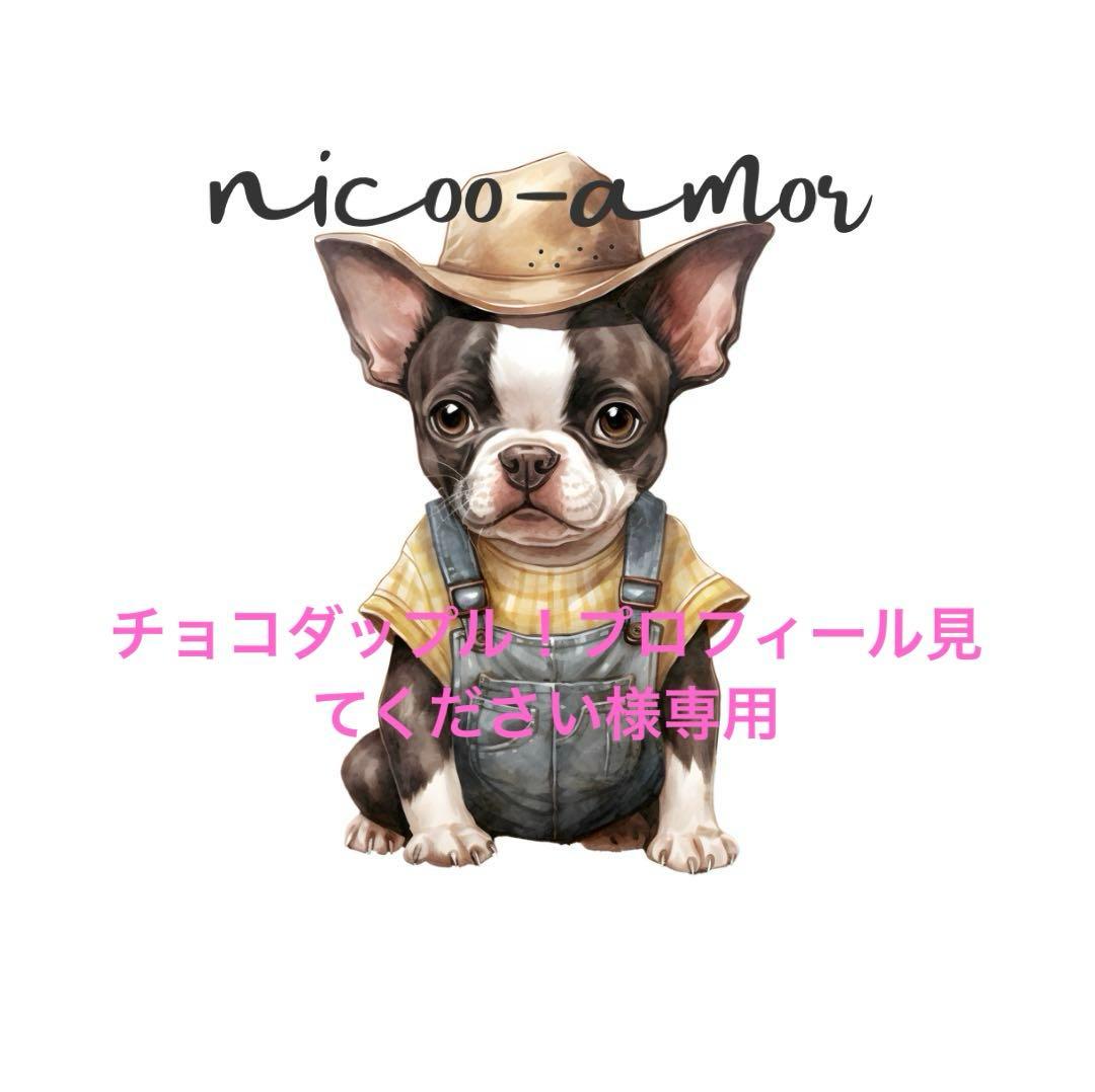 チョコダップル！プロフィール見てください