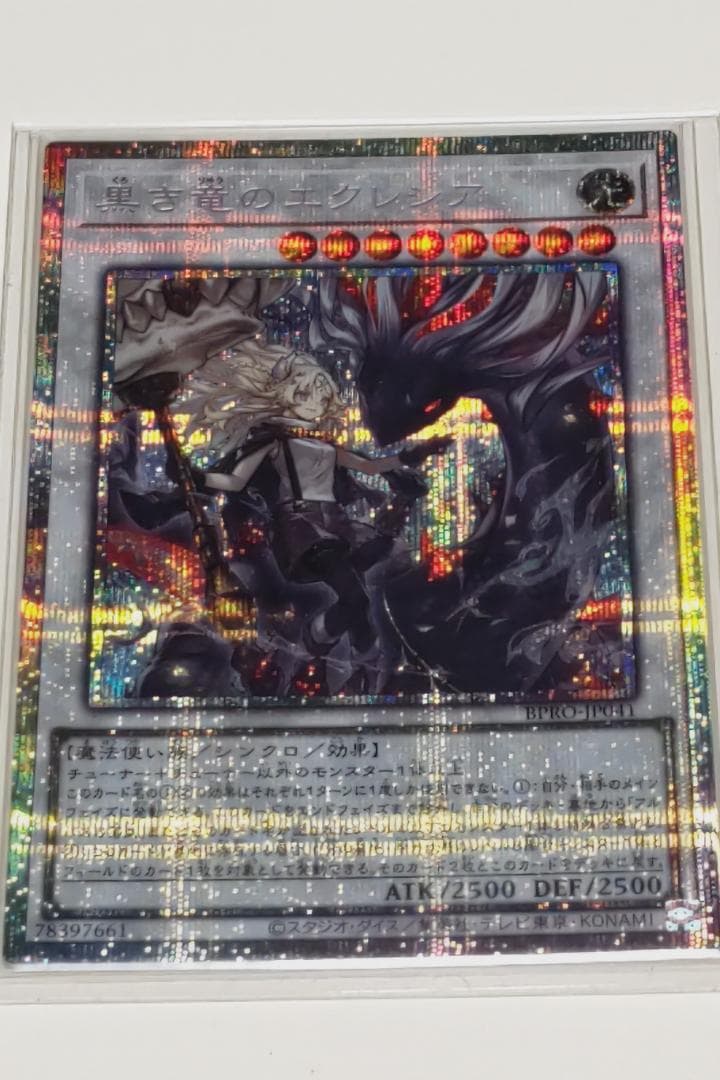 カ*ぜ様 黒き竜のエクレシア (PSE)