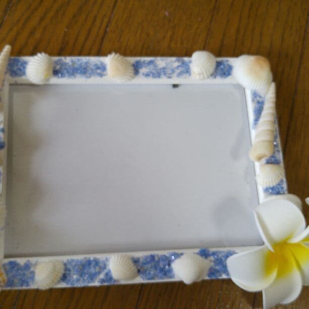 貝柄フォートフレーム