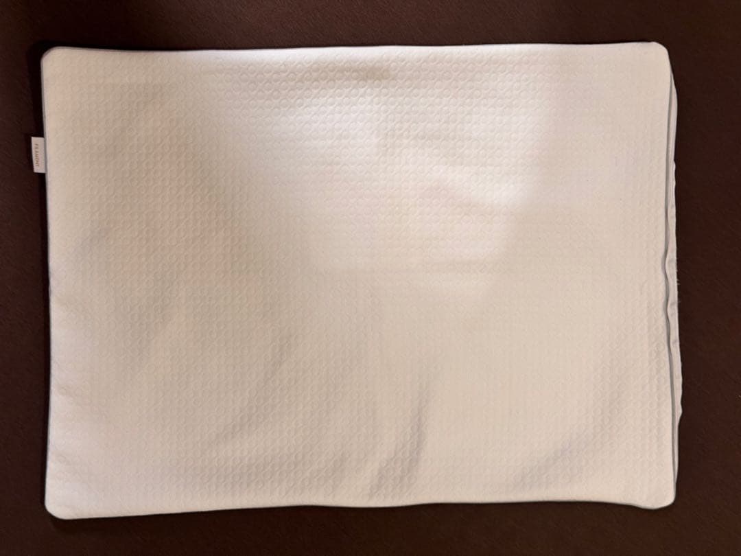 FILAMENT 整体枕 フィルピロー 収納バッグ付き