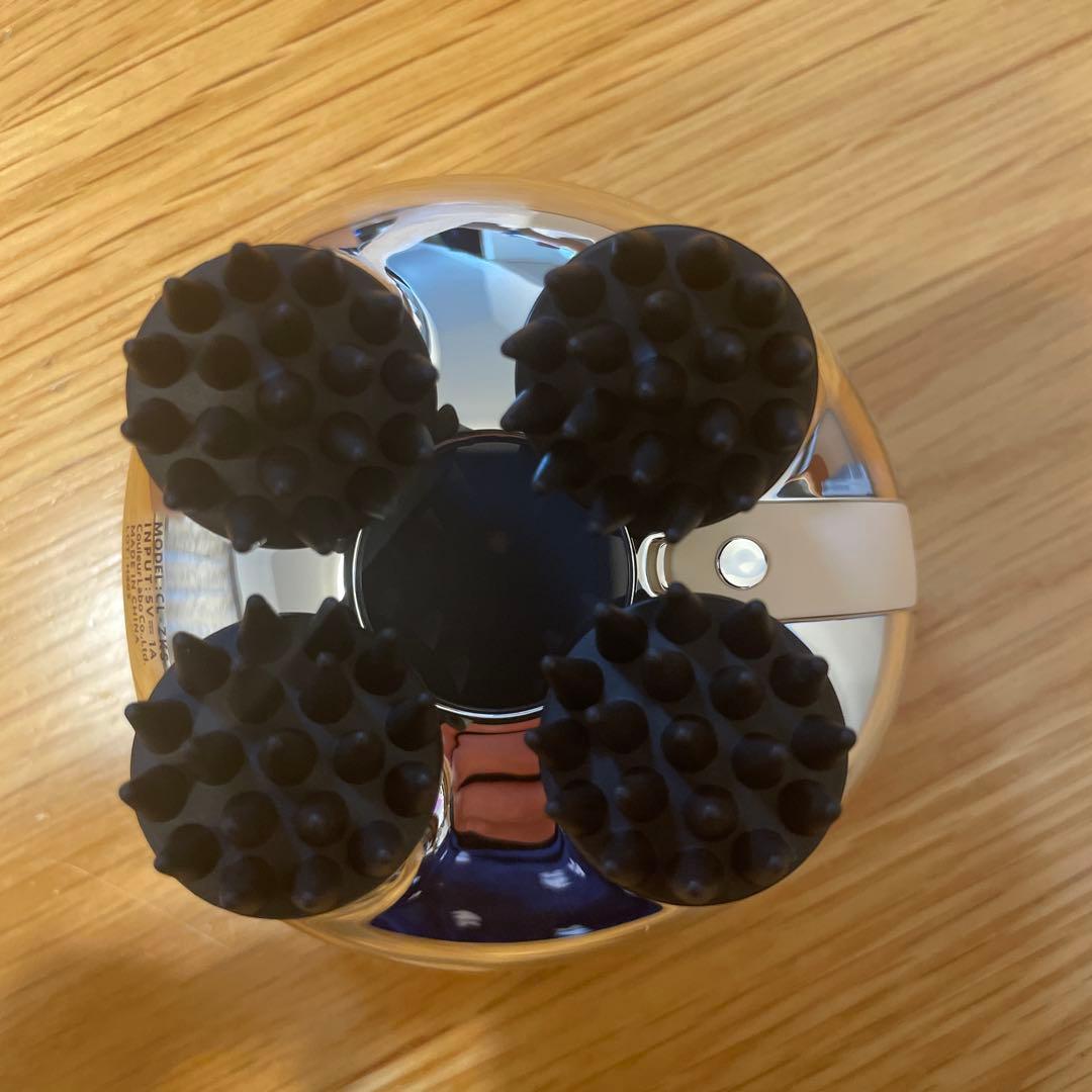 【新品未使用】ZOGANKIN ゾーガンキンスカルプ