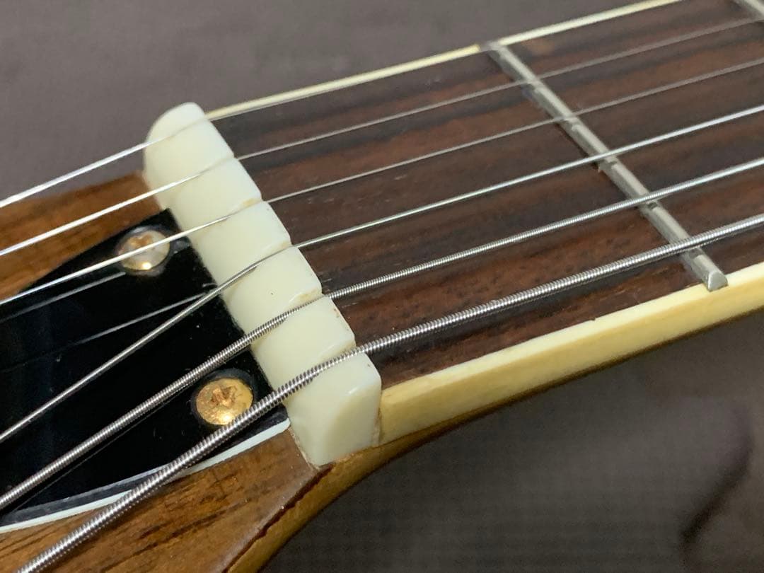 フォトジェニック Photo Genic モッキンバード エレキギター hide